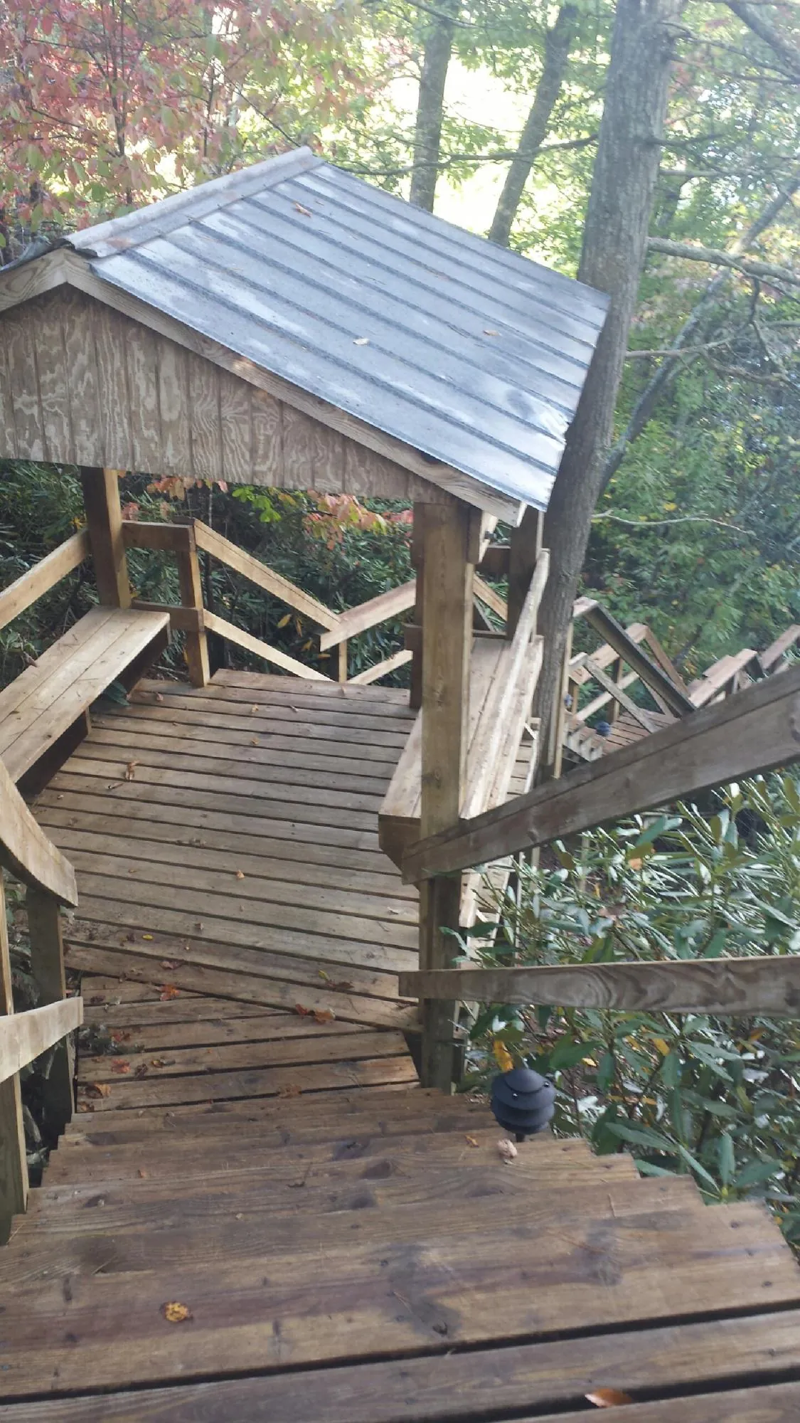 Metal roofed shelter over wooden steps on a wooded walkway — Skylight Repair & Installation work by our crew in Hendrum